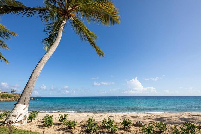 Coki Beach and Coral World Round Trip Transfer  - St Thomas - Pricing and Terms