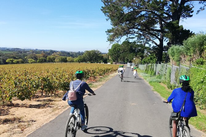 Constantia Hidden Gem Cycle Half Day - Private Tour - Private Tour Details