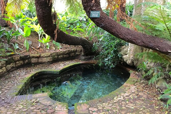 Constantia Winelands Kirstenbosch Gardens Luxury Guided Daytrip - Exclusive Wine Estates