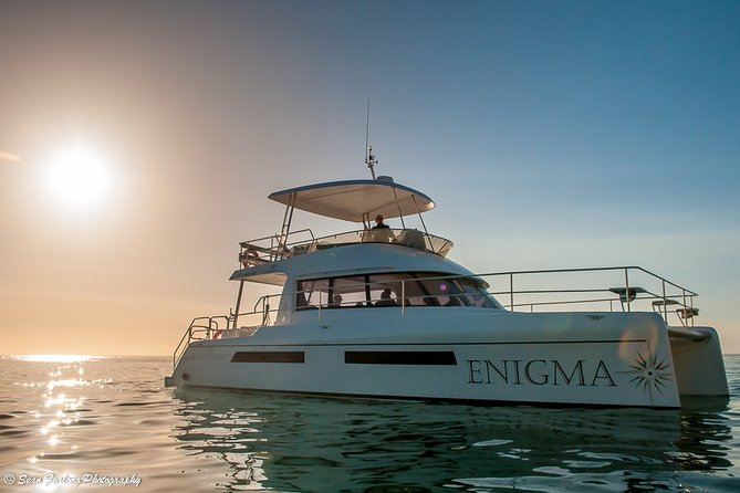Cruise and Dine Dinner / Cape Town: Sunset Champagne Cruise and 3-Course Dinner - Boat Type for the Cruise and Dine Dinner