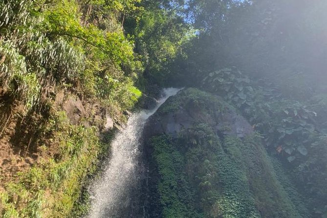 Dark View Falls and Beach Tour With Detention Tours - Questions and Additional Information