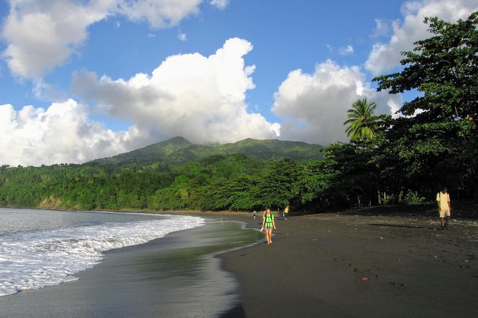 Dark View Falls Tour and Beach - Cross the Bamboo Bridge to Reach the Falls