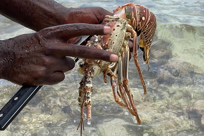 Day Trip to Negril From Montego Bay/Boat Ride to Booby Cay Island/Lobster Lunch - Traveler Photos and Reviews