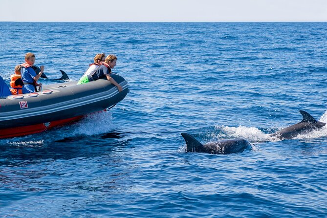 Dolphins & Caves on Rib Boat - Inclusions