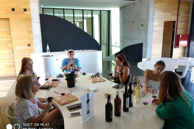 Douro Valley Wine Tour - Best Time to Visit the Douro Valley