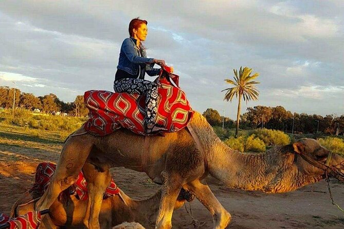 Dromedary Safari: 2 Hours - Reviews and Ratings