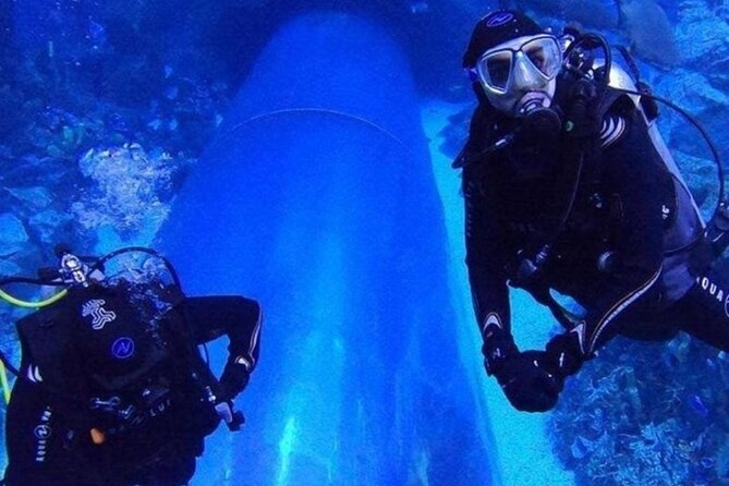 Dubai Aquarium and Underwater Zoo - Additional Information