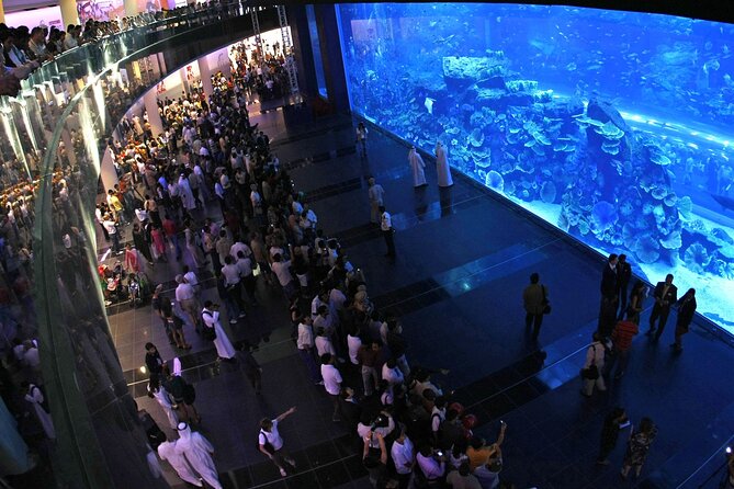 Dubai Aquarium and Underwater Zoo Admission Ticket - Private Transportation and Operator Details
