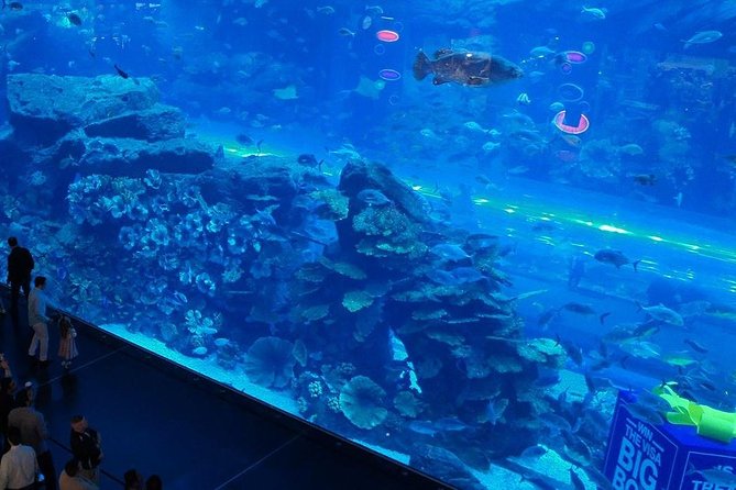 Dubai Mall Aquarium &Underwater Zoo Tickets With Transfer - Questions and Support