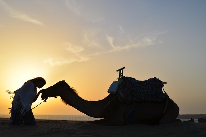 Essaouira: 1/2 Day Camel Ride With Meal. - Itinerary for the Half-Day Camel Ride