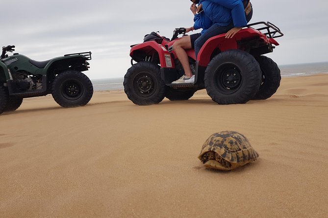 Essaouira: 3-Hour Quad Ride (Minimum 2 People) - Traveler Photos and Reviews
