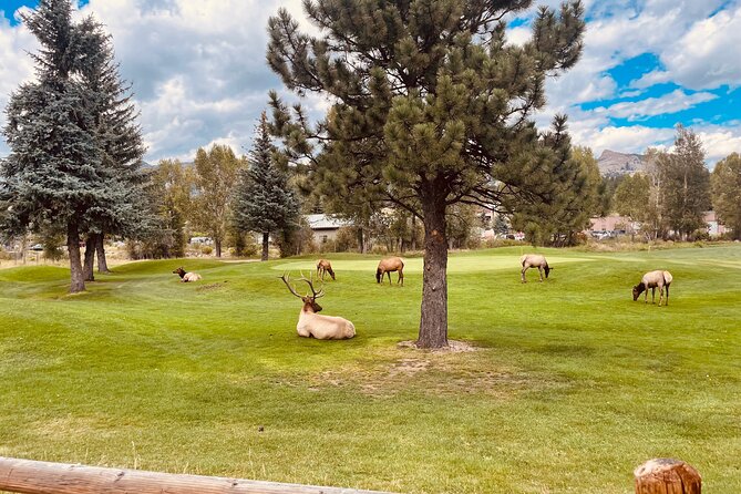 Estes Park Family E-Bike Tour - E-Bike Experience in Estes Park