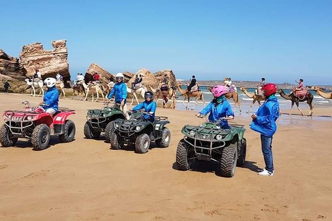 Excursion: 1h/Quad1h/Dromedaries (Minimum 2 People) - Reviews and Testimonials