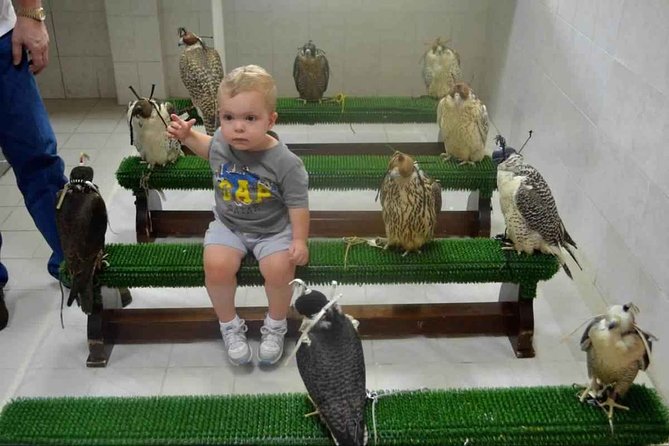 Experience Abu Dhabi Falcon Hospital Tour - Cancellation Policy