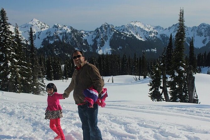 Explore Mt. Rainier National Park With a Local Guide - Waterfalls and Reflection Lakes