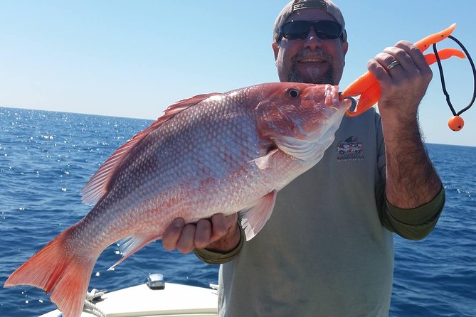 Fort Lauderdale Inshore Fishing Charters - Abundance of Fish Species