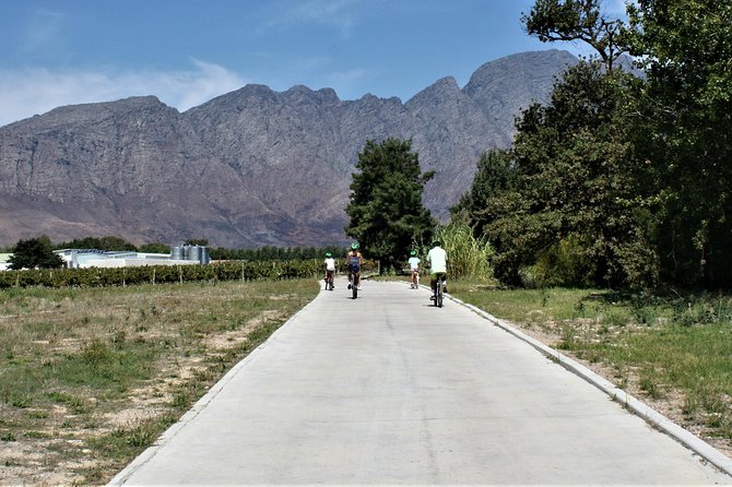 Franschhoek Half-Day Private Bike Tour With Lunch and Wine  - Cape Town - Flexible Cancellation Policy