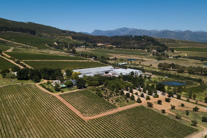 Franshhoek and Stellenbosch Wine, Chocolate and Cheese  - Cape Town - Traveler Photos and Reviews