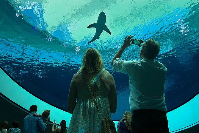 Frost Science Museum Admission Tickets - Booking and Availability