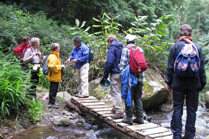 Full Day Hiking Faial Da Terra (Min. 2 Persons) - Price and Booking Details