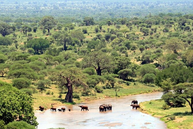 Full Day Hluhluwe Imfolozi Game Reserve From Durban - Common Questions