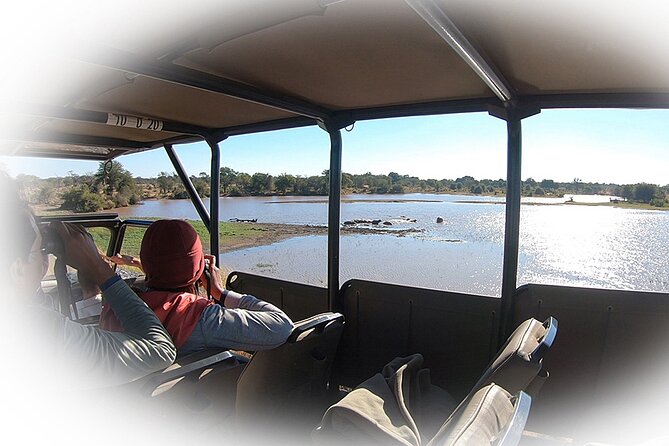 Full Day Private Kruger Park Safari - Full Day Wildlife Exploration