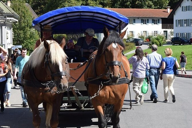 Full Day Tour to Neuschwanstein Castle Incl. Carriage Ride and Guided Tour - Prepaid Admission Tickets