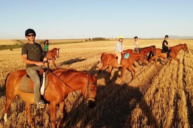 Full Day Wine Tour With Lunch And Tastings - Wine Tastings at Various Estates