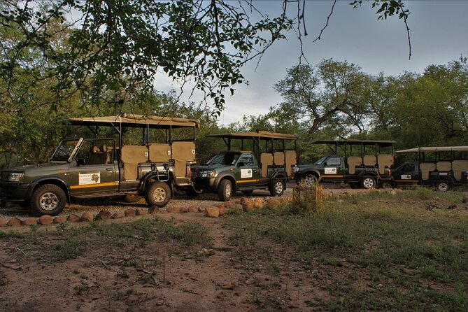 Fullday Gamedrives in Kruger National Park From Marlothpark - Overview of the Full-day Game Drive