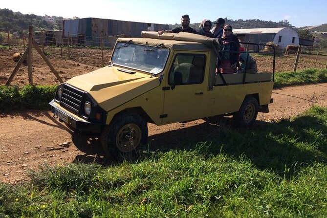 Half-Day Algarve Jeep Safari Sunset Tour - Reviews and Ratings From Viator Travelers