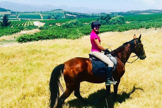 Half Day Horseback Wine Tour - Traveler Photos and Reviews