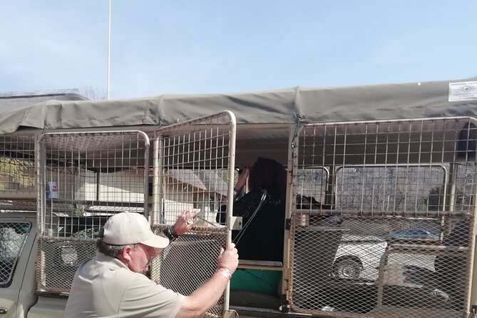 Half-Day Lion and Safari Park Tour - Tour Schedule
