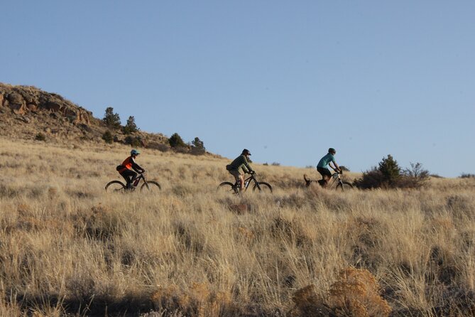 Half Day Private Bike Tour in Del Norte - Confirmation and Accessibility Information