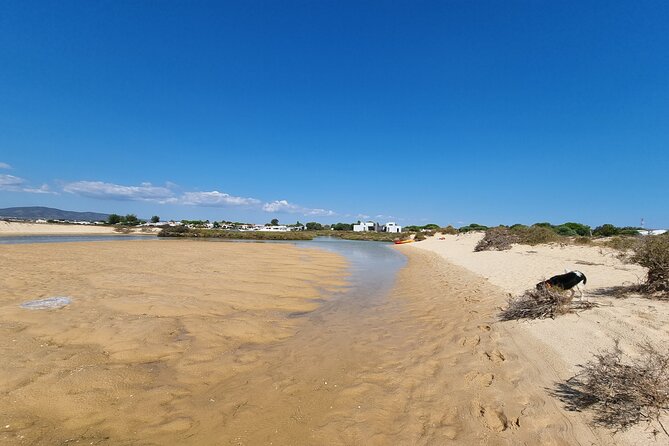 Half-Day Private Guided Kayak Island Tour - Cancellation Policy