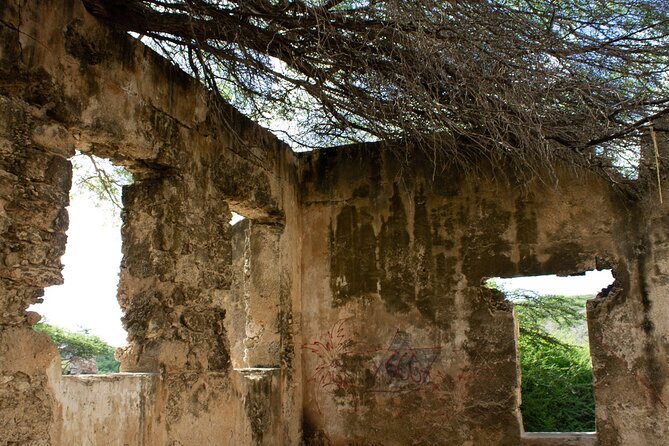Half-Day Spanish Lagoon Mangrove Trail With Private Guide - Traveler Photos and Reviews