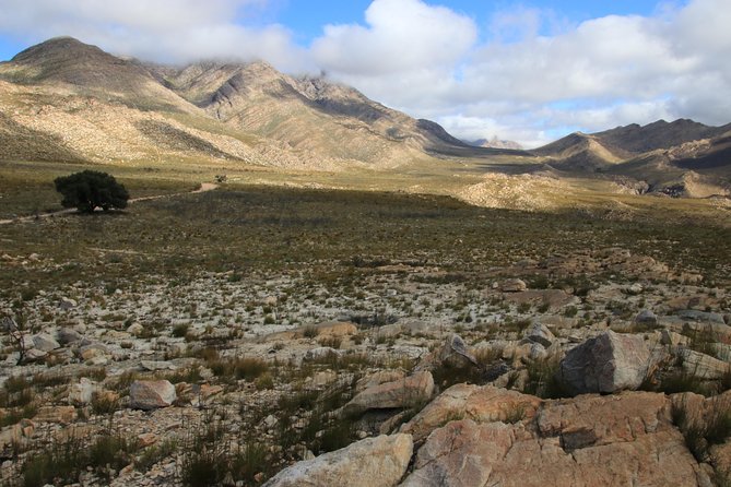 Half-Day Swartberg Pass PRIVATE Tour (Including Lunch & Transfer - Oudtshoorn) - Questions and Assistance