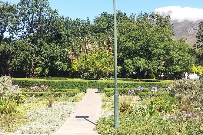 Half-Day Tour of Cape Town City - Insider Tips and Recommendations