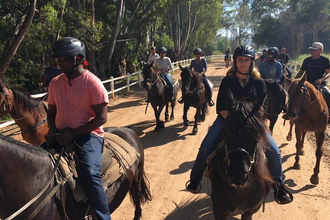 Half Day – Wine Tasting Horse Trail - Well-cared-for Horses