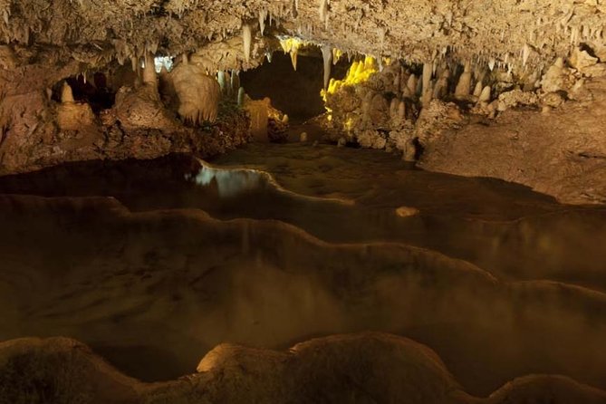 Harrisons Cave Tour From Bridgetown - Pricing and Booking Details