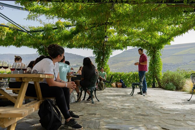 HIKE at DOURO VALLEY W/ Winery Visit and Tasting - Reviews and Ratings