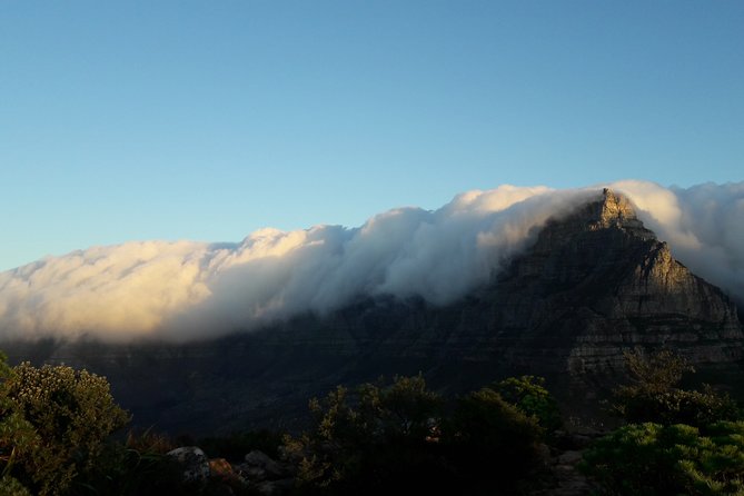Hike Lions Head Sunrise Morning Tour - Inclusions and Services Provided