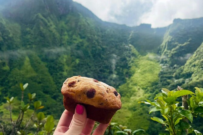 Hiking in Mount Liamuiga (Volcano) - Cancellation Policy