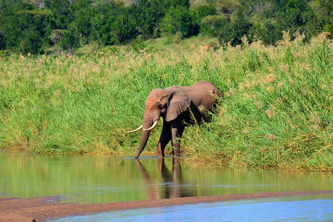 Hluhluwe Imfolozi Safari Day Tour From Durban - Pickup Locations