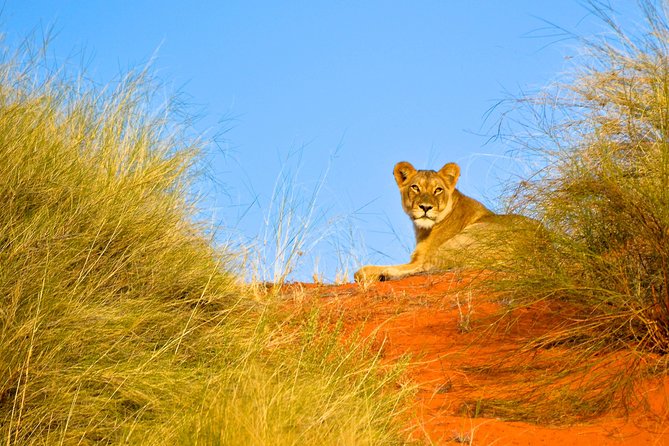 Hluhluwe Imfolozi Safari & St Lucia Boat Safari Day Tour From Durban - Cancellation Policy