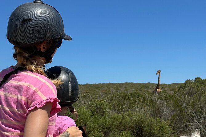 Horse Back Safari on the West Coast - Cancellation Policy and Refund Details