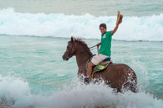 Horse Riding on Melides Beach - What to Expect
