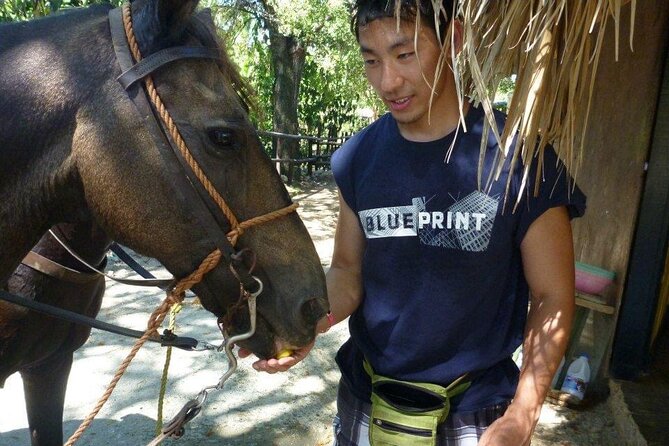 Horseback Riding Tours by the Beach - Negative Feedback