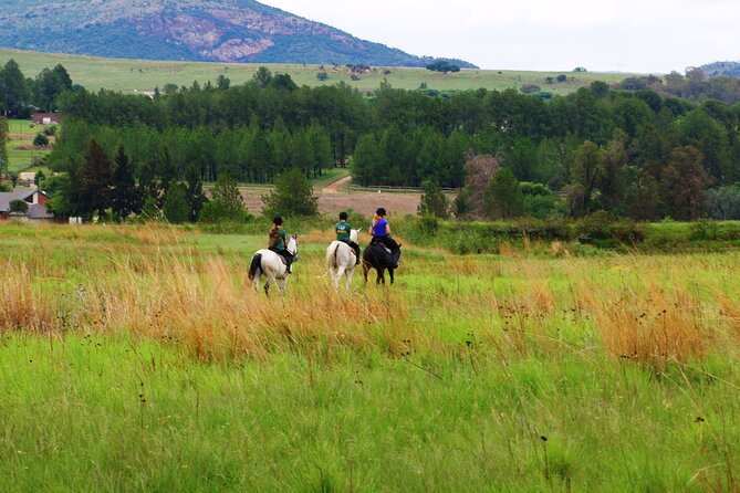 Horseback Small-Group Trail Rides in Muldersdrift - Reviews and Support