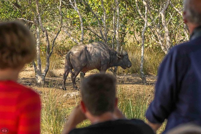 Isimangaliso Wetland Park, Full Day Tour - Additional Information