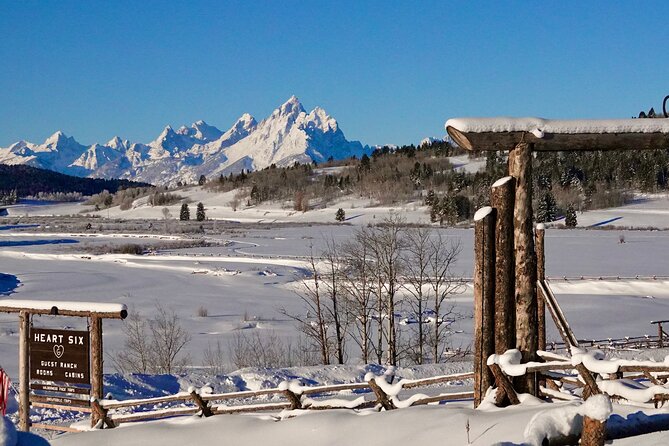 Jackson Hole Half-Day Small-Group Dogsled and Snowmobile Tour - What to Expect